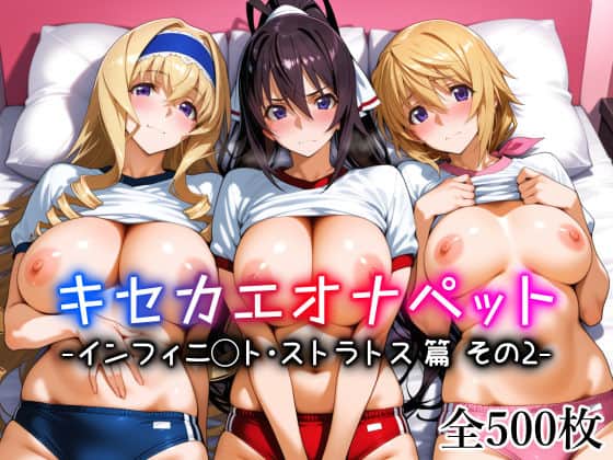 【キセカエオナペット -インフィニ◯ト・ストラトス篇 その2-】愛玩ファクトリー@